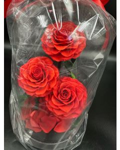 Red Rose Dome, Artificial Roses, Romantic Simulated Soap Roses Under Glass Dome