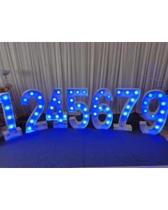 BIG LED NUMBERS 