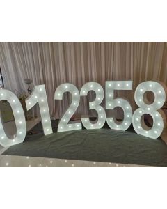 3foot 0-9 Digital Number Letter Light Lamp Night Light for Christmas Wedding Birthday Party Decor-White color LED decoration